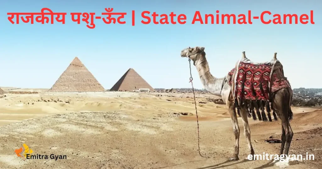 राजकीय पशु-ऊँट | State Animal-Camel