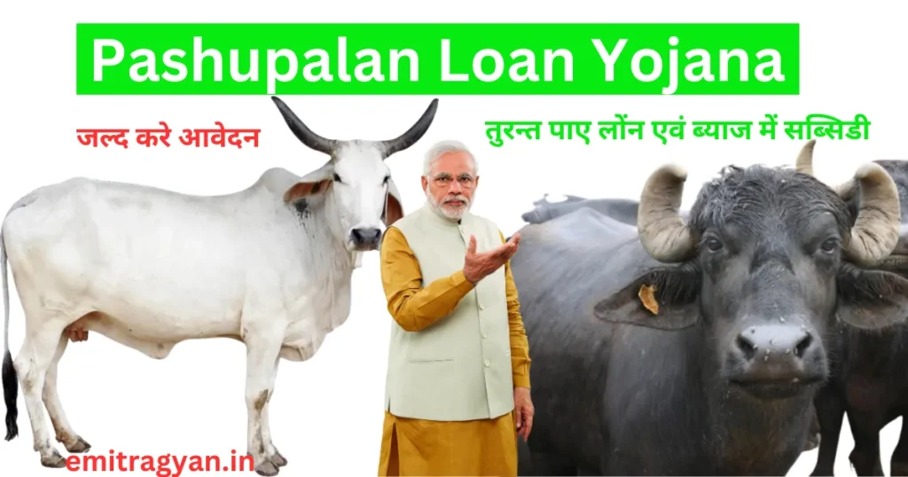 Pashupalan Loan Yojana