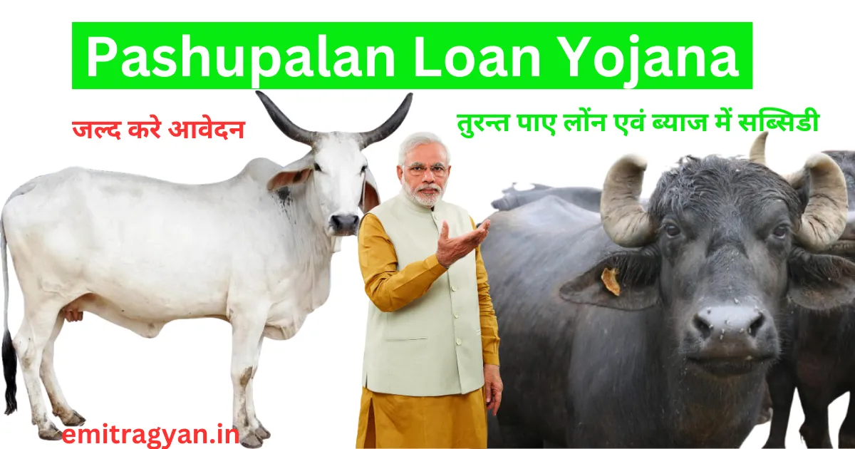 Pashupalan Loan Yojana